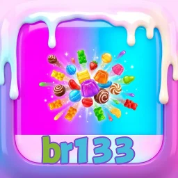 br133